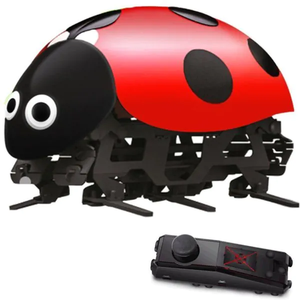 Rc ladybug store