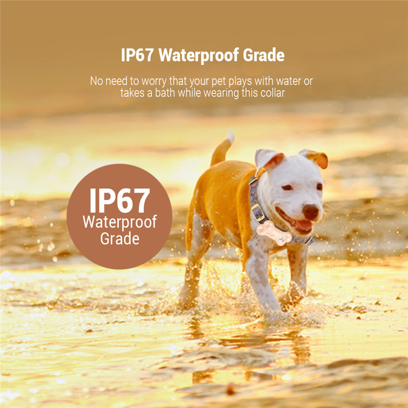 Z02 waterproof WiFi pet tracker GPS